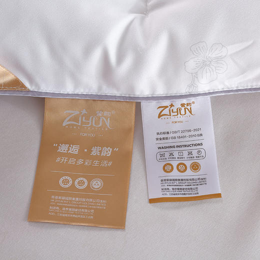 紫韵 秋冬梦之语赛鹅绒被 200*230 重量：2700g  羽丝纤维/鹅绒纤维 ZY-BY1612 商品图5