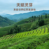 华祥苑金骏眉 特级红茶 雅士武夷山金骏眉茶叶100g送礼礼盒装 商品缩略图3
