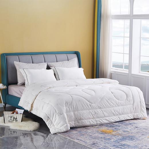 鑫瑞娜千层棉无网棉被暖冬组 商品图0