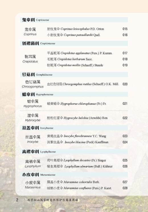 北京松山国家级自然保护区菌类图谱【中国农业出版社官方正版，可开发票，下单时留开票信息和电子邮箱】 商品图2