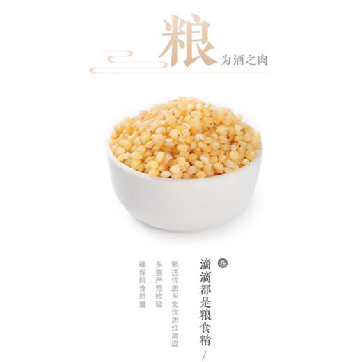 【老白干香型】衡水老白干冰川500ml 53度 商品图3