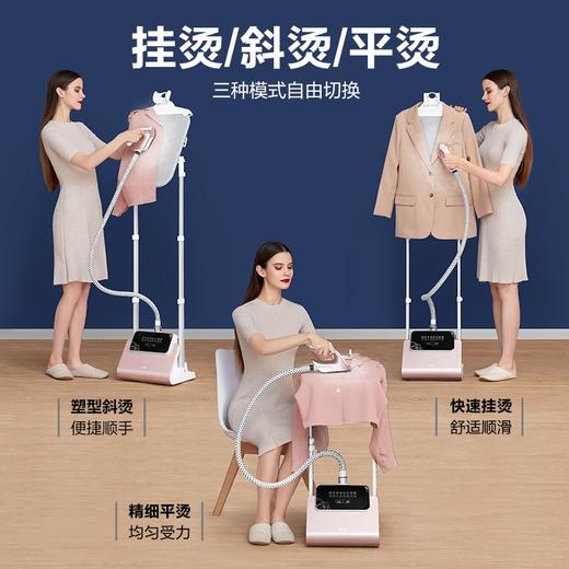 海尔（Haier）蒸汽挂烫机家用双杆带板手持立式大功率熨烫机电熨斗2408 商品图0