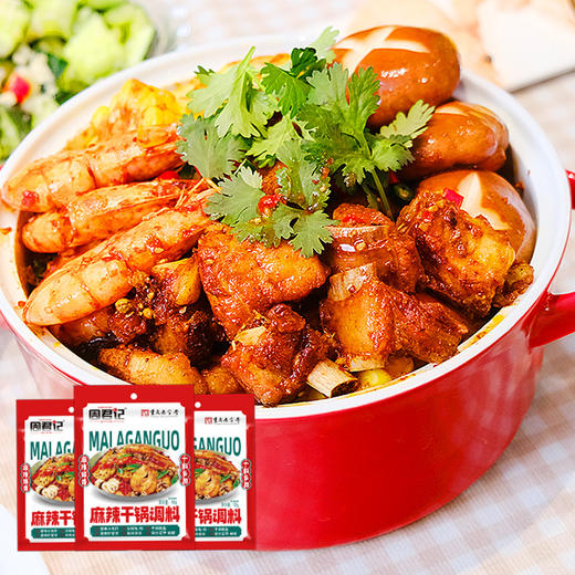 麻辣干锅调料90g 商品图0