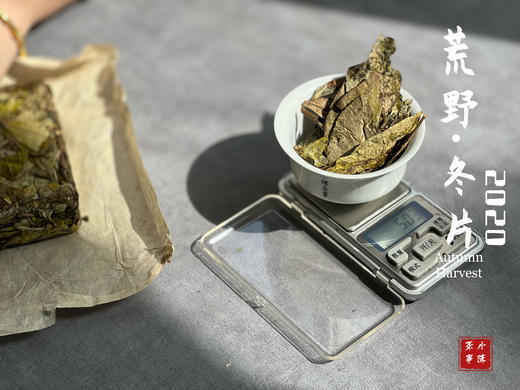【稀缺好茶】荒野茶的独一无二，2020荒野冬片《金砖》问世 商品图8