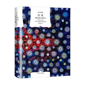 白夜 陀思妥耶夫斯基 著 小说