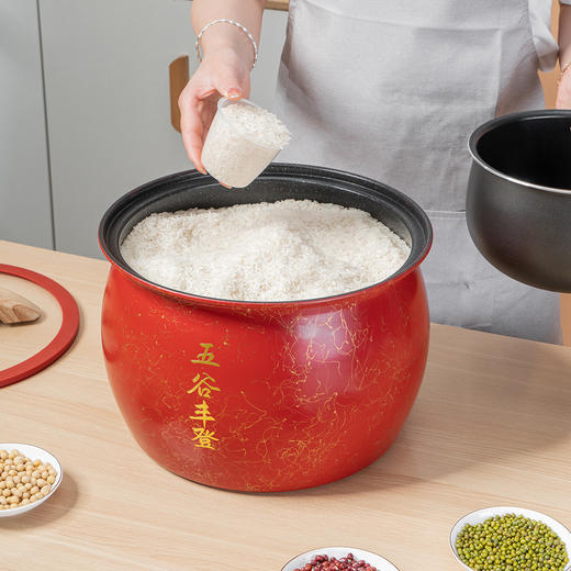 Debo德铂五谷丰登精铁密封米桶 商品图4