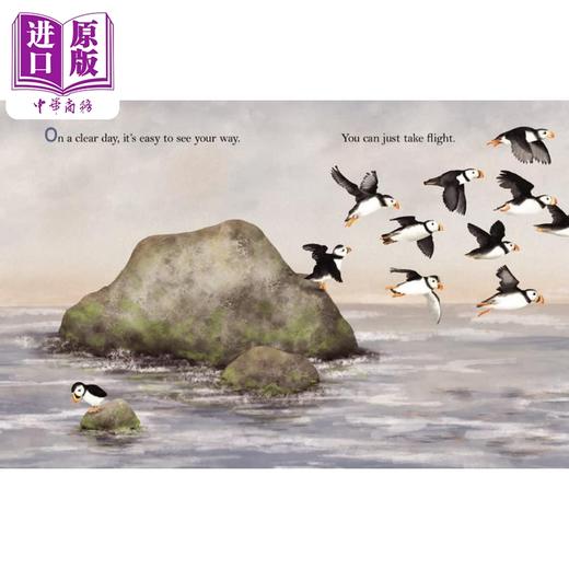 【中商原版】当雾色降临 Fong Pam When the Fog Rolls In 英文原版 儿童绘本动物故事图画书 精装精品绘本 进口儿童读物4-8岁 商品图4