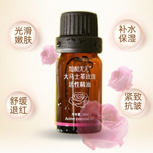 【大马士革玫瑰纯露】大马士革玫瑰 幕顶级的食用玫瑰，保加利亚官方合作基地纯种种苗，自然农法种植，桃花源中有玫瑰! 商品图2