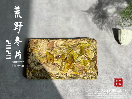 【稀缺好茶】荒野茶的独一无二，2020荒野冬片《金砖》问世 商品图2