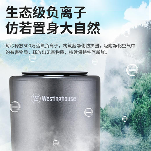 西屋（Westinghouse）车载空气净化器 汽车负离子净化器 新车车内除味除甲醛VAW-136 商品图2