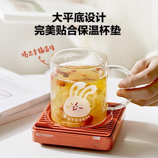 【专柜-北鼎】北鼎兔兔玻璃杯家用泡茶马克杯子办公室水杯男女高颜值生肖杯 商品图1