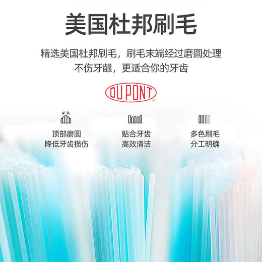 西屋（Westinghouse）声波电动牙刷家用充电式软毛牙刷送男生女生礼物 WT-502S 商品图1