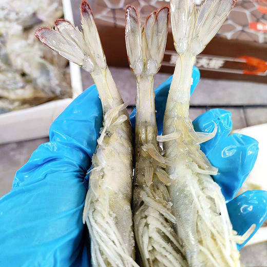 『海捕大虾』盐冻锁鲜，饱满弹嫩，鲜甜美味 商品图5