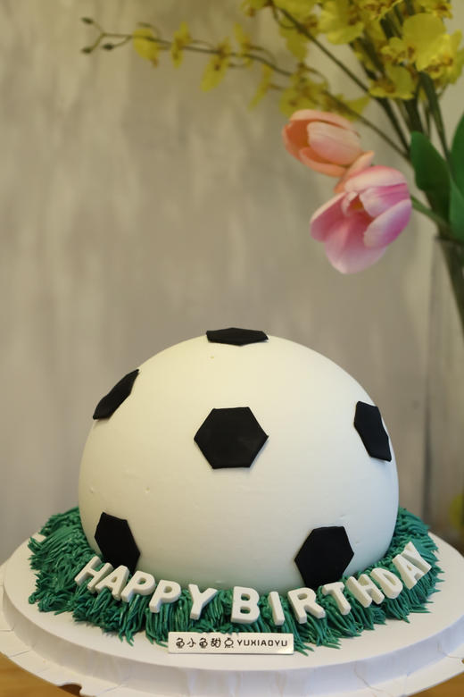 绿茵圆足球 商品图1