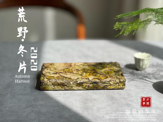 【稀缺好茶】荒野茶的独一无二，2020荒野冬片《金砖》问世 商品图1