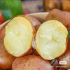 内蒙红皮黄心土豆，沙面沙面的，炖着吃特别香5斤/袋 商品缩略图1