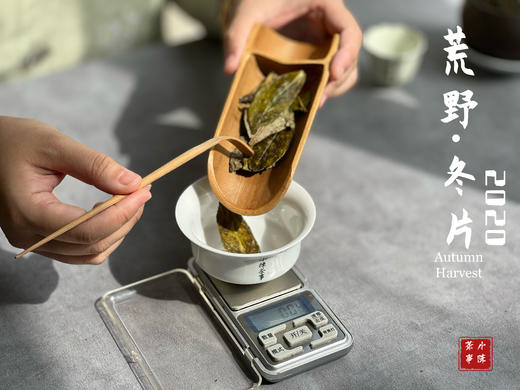 【稀缺好茶】荒野茶的独一无二，2020荒野冬片《金砖》问世 商品图7