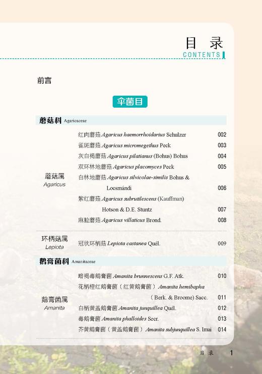 北京松山国家级自然保护区菌类图谱【中国农业出版社官方正版，可开发票，下单时留开票信息和电子邮箱】 商品图1