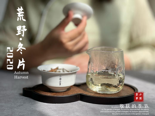 【稀缺好茶】荒野茶的独一无二，2020荒野冬片《金砖》问世 商品图13