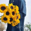 【幸福感爆棚的向日葵组合】黑心中花向日葵5支+绿心小花向日葵5支 商品缩略图1