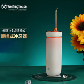西屋（Westinghouse）便携式电动冲牙器牙结石去除牙缝去垢神器洗牙器洁水牙线C101