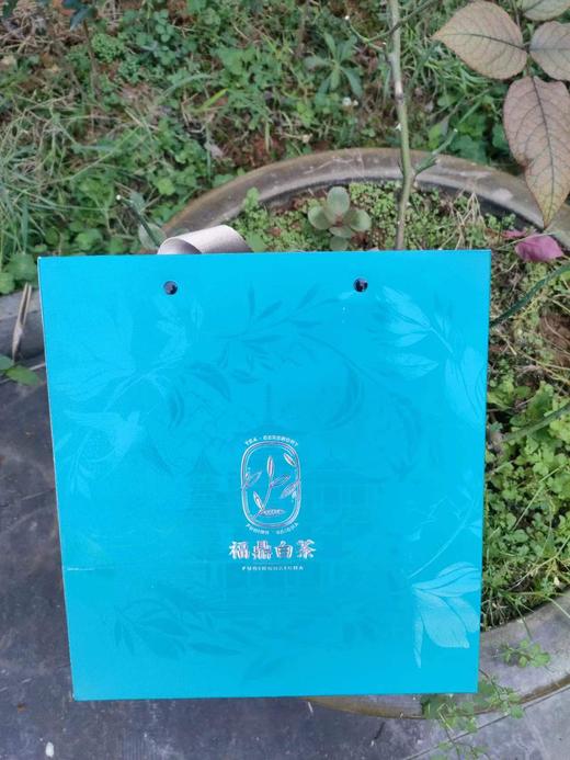 17 年日晒老白茶，花香凸显，青果香，滋味鲜爽，汤感醇厚饱满，冰糖甜，口若含糖的薄荷凉意 商品图3