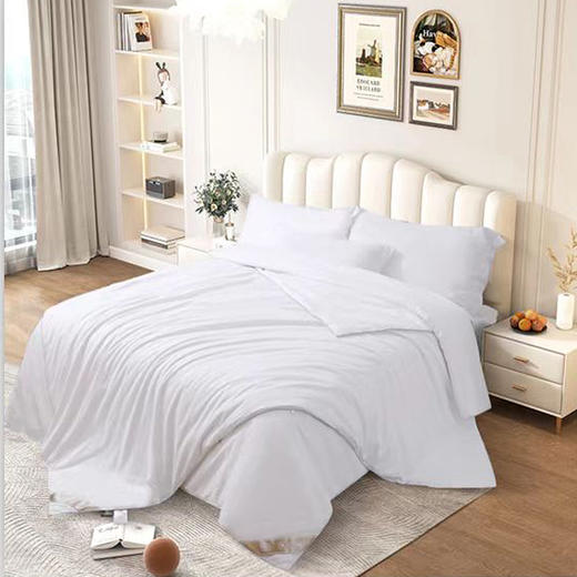 瑞梦百年手工桑蚕长丝被超值组 商品图0