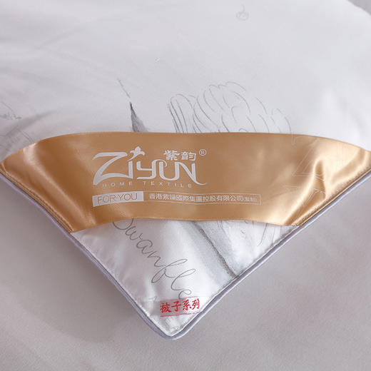 紫韵 秋冬梦之语赛鹅绒被 200*230 重量：2700g  羽丝纤维/鹅绒纤维 ZY-BY1612 商品图4
