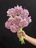 荷兰花材紫色重瓣郁金香10支 商品缩略图0