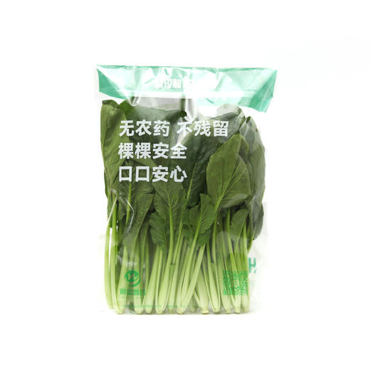 味好蔬水培小松菜 250g/袋  各单品合计100元包邮 商品图1