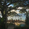 【度假村】菲律宾anilao阿尼洛 轻奢度假村Solitude Acacia Dive Resort 商品缩略图1