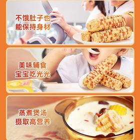 北纬47度°花糯玉米（10根）