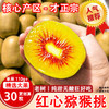 产地直供【巨好吃！红心猕猴桃】香甜多汁，丰富果肉现货四川浦江猕猴桃纯甜无酸奇异水果果 商品缩略图1