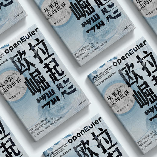 《欧拉崛起：从华为走向世界》 商品图6