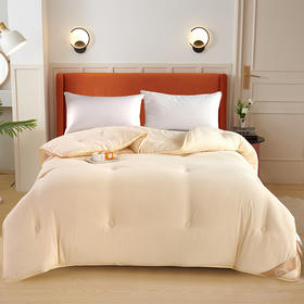 紫韵 秋冬糯糯棉玉米被 200*230 2400g 羽丝纤维/玉米纤维 ZY-BY1601