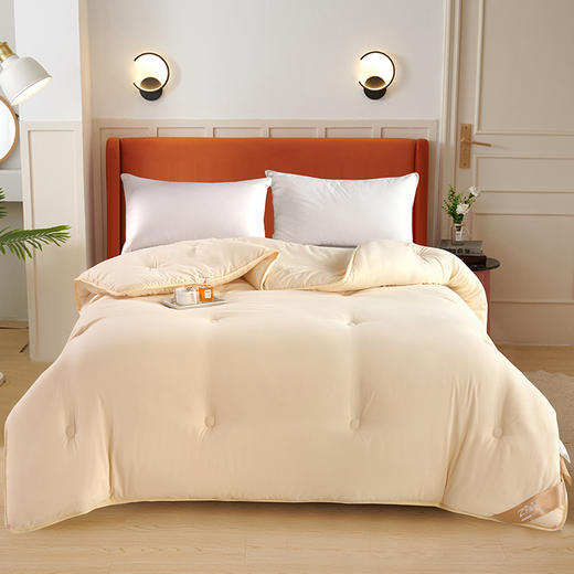 紫韵 秋冬糯糯棉玉米被 200*230 2400g 羽丝纤维/玉米纤维 ZY-BY1601 商品图0