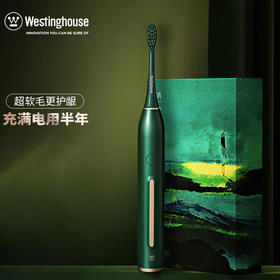 西屋（Westinghouse） 成人声波电动牙刷软毛情侣牙刷送礼物 【精美礼盒】 WT-301G/F/K