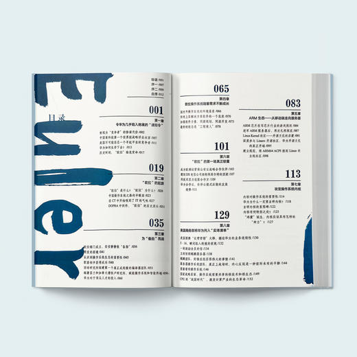 《欧拉崛起：从华为走向世界》 商品图3