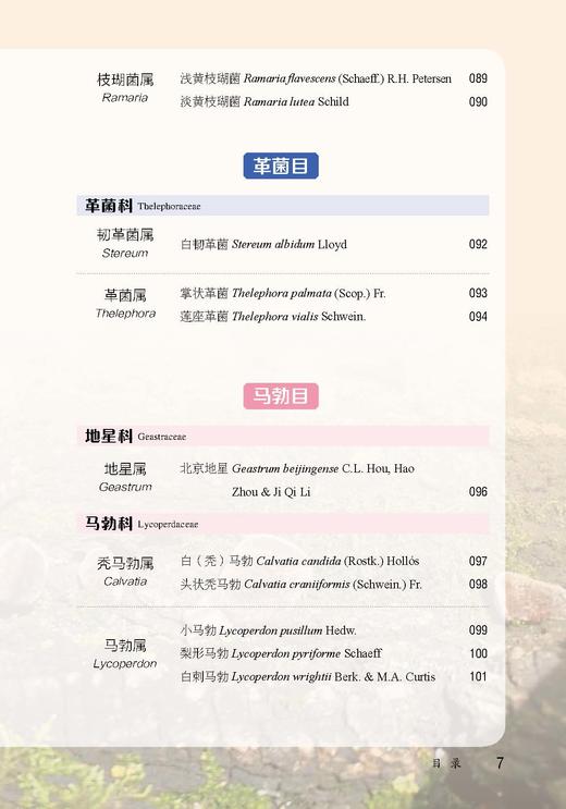 北京松山国家级自然保护区菌类图谱【中国农业出版社官方正版，可开发票，下单时留开票信息和电子邮箱】 商品图7