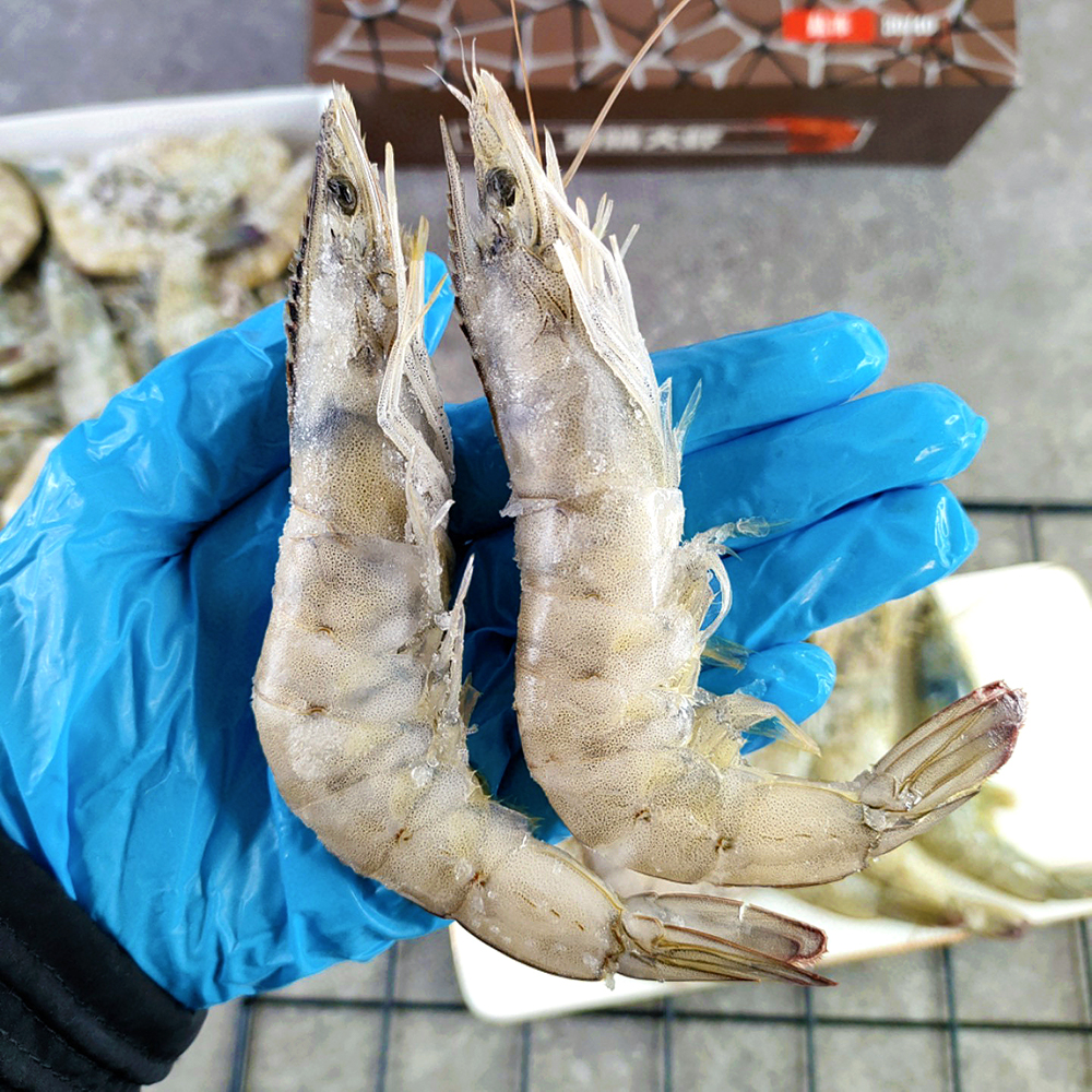 『海捕大虾』盐冻锁鲜，饱满弹嫩，鲜甜美味