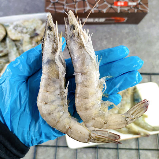 『海捕大虾』盐冻锁鲜，饱满弹嫩，鲜甜美味 商品图0