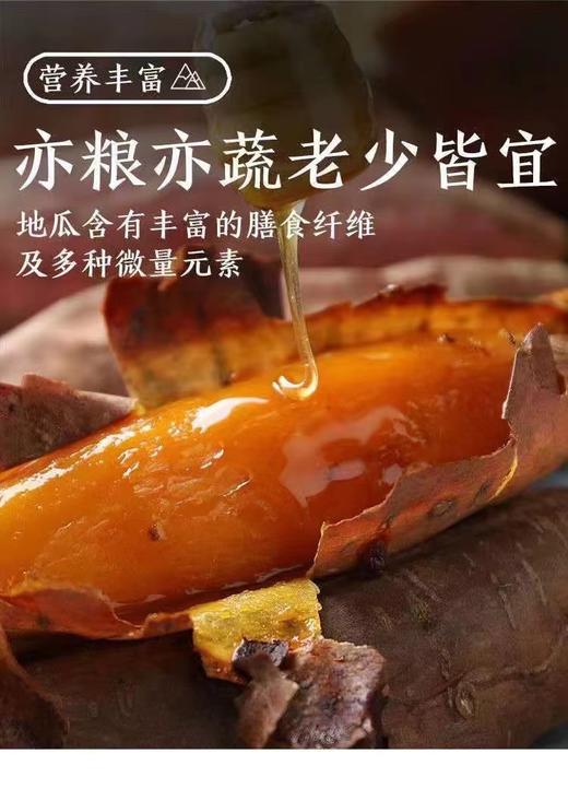 山东烟薯5斤装/袋 香甜软糯皮薄肉厚【BH】【CN】 商品图0