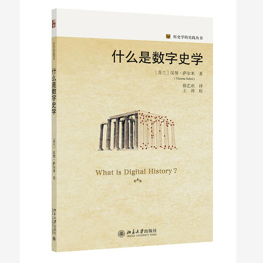 什么是数字史学 【芬兰】汉努·萨尔米 著  徐艺欢 译 北京大学出版社 商品图0