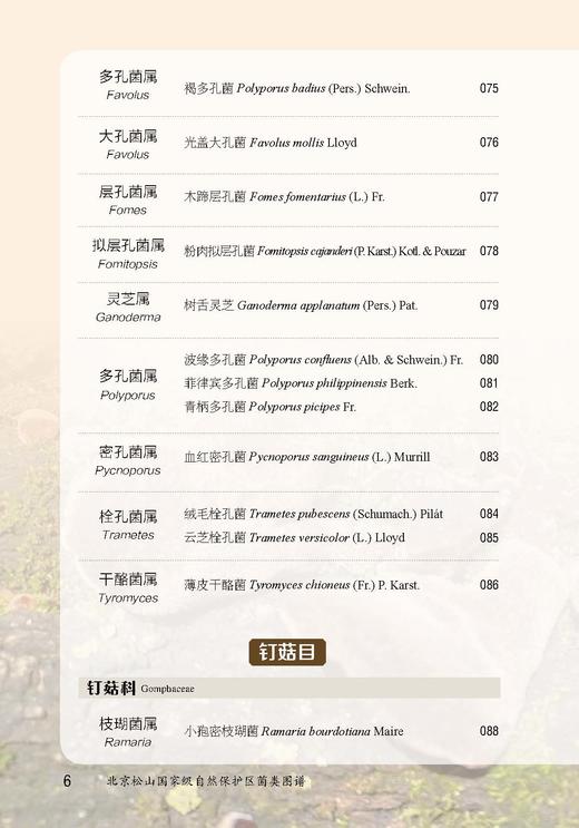 北京松山国家级自然保护区菌类图谱【中国农业出版社官方正版，可开发票，下单时留开票信息和电子邮箱】 商品图6