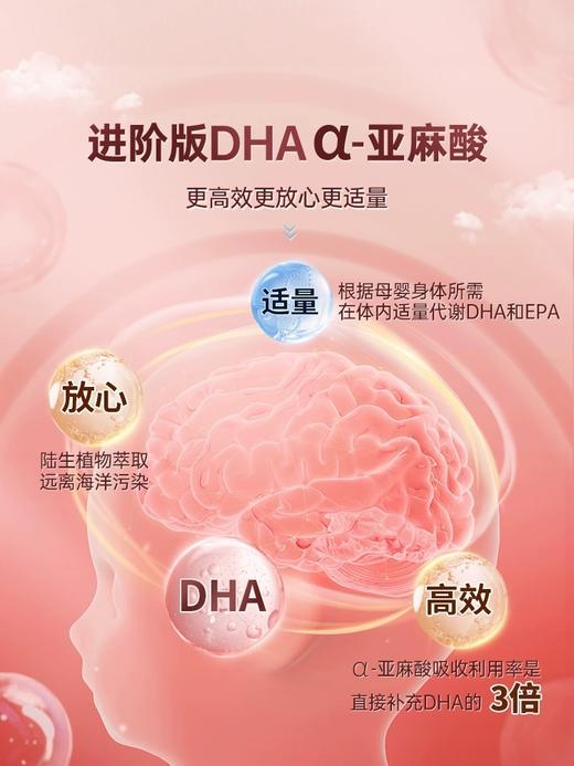 美好蕴育乳母营养包润康2段产后红宝盒哺乳期燕窝dha叶酸维生素月子期营养 30天量 商品图3