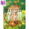 【中商原版】Lets Explore: Animal Home pop-up 立体发现 动物之家 英文原版进口图书 儿童绘本 立体图画书 纸板书 商品缩略图4