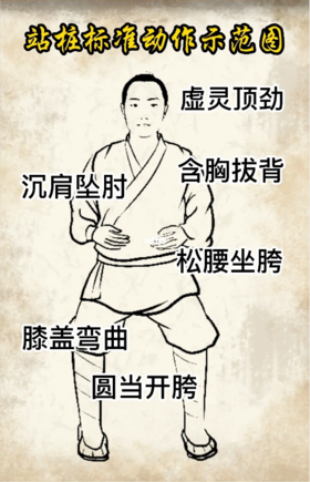 男人学站桩：提精气，养肾气，改善失眠，最关键的一点是…