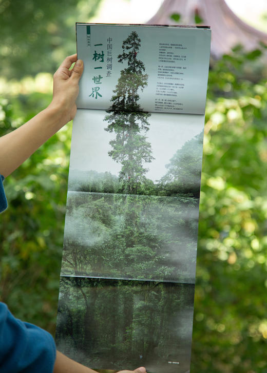 《博物》杂志（ 2024年8月-25年7月）共12期  ；有趣有料有深度，8—99岁都爱看，“博物君”张辰亮副主编（DU家赠送艺术微喷台卡） 商品图8