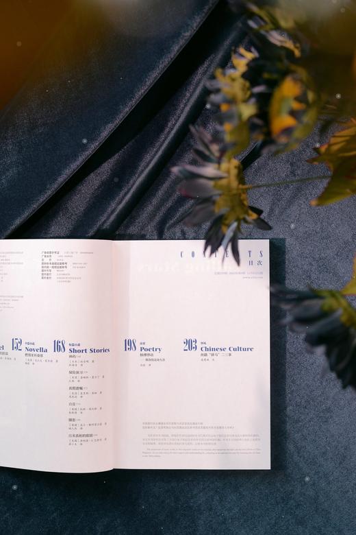 《译林》杂志2023年第6期 商品图6