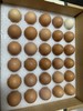 鸿翠园 溜达鸡的蛋 有机笨鸡蛋 有机食蔬饲喂  0饲料添加 商品缩略图2